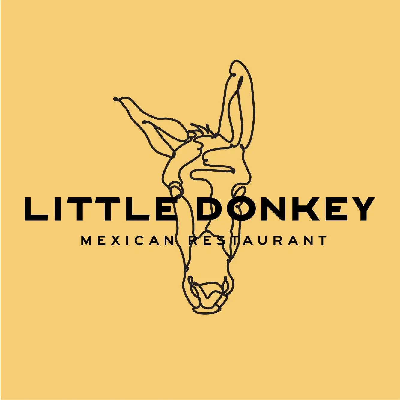 little donkey